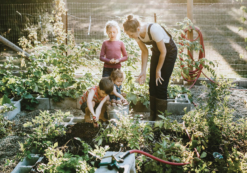 Get Your Hands Dirty: How to Start a Family Garden